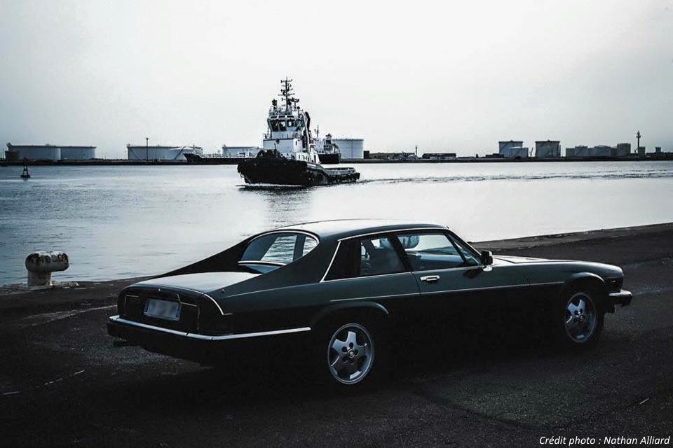 11227606_1462603570735595_7694983695272201768_n