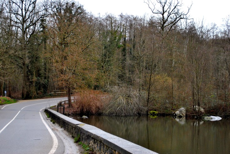 Les Cascades de Vaux-en-Cernay